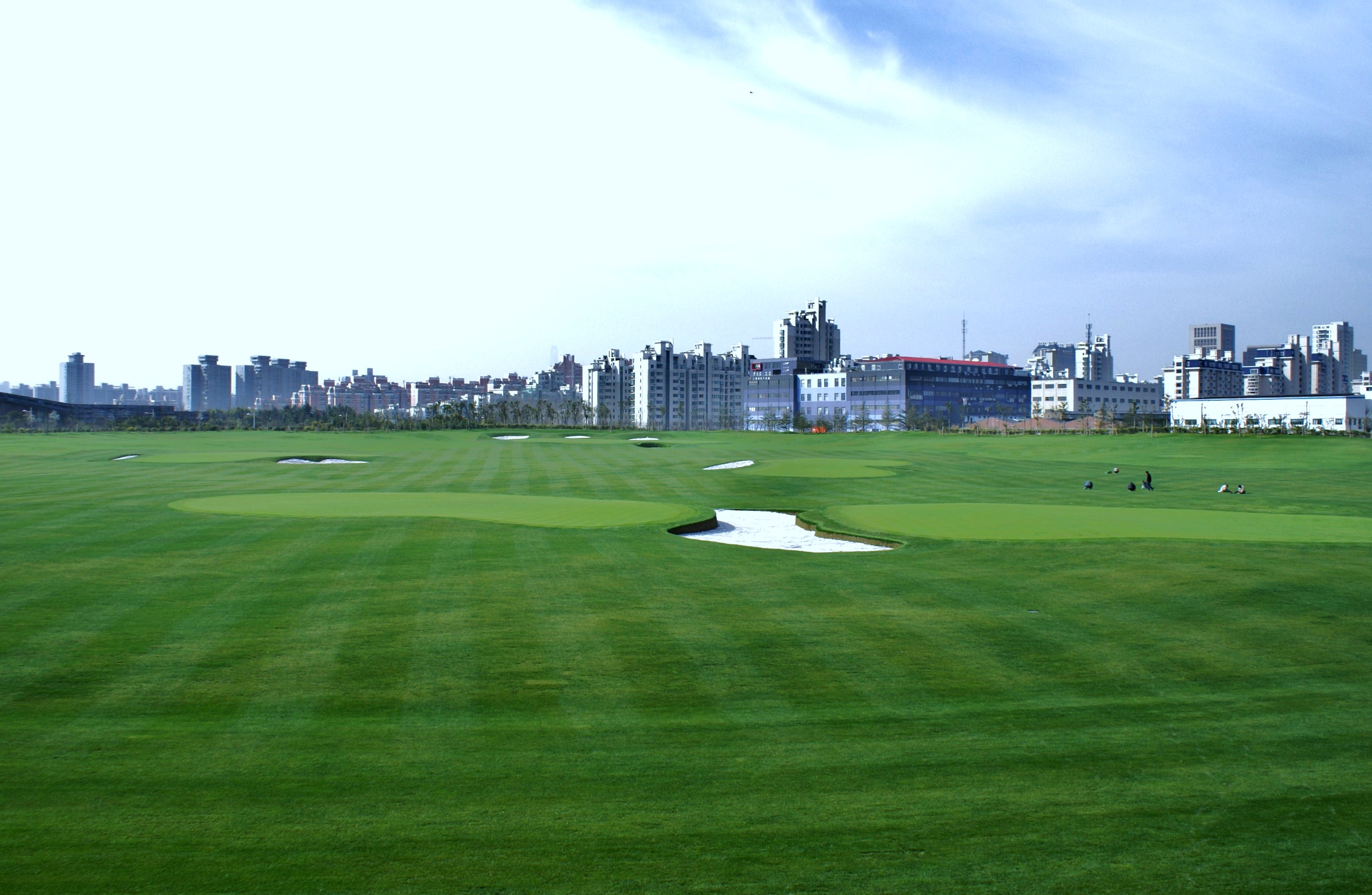 2023深圳世纪海景高尔夫球场玩乐攻略,果岭速度很快，算是很不错的...【去哪儿攻略】
